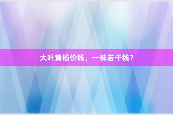 大叶黄杨价钱，一株若干钱？