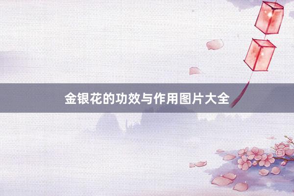 金银花的功效与作用图片大全