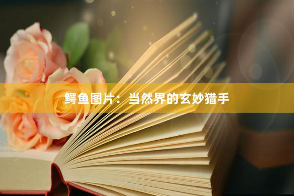 鳄鱼图片：当然界的玄妙猎手