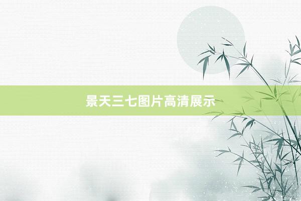 景天三七图片高清展示